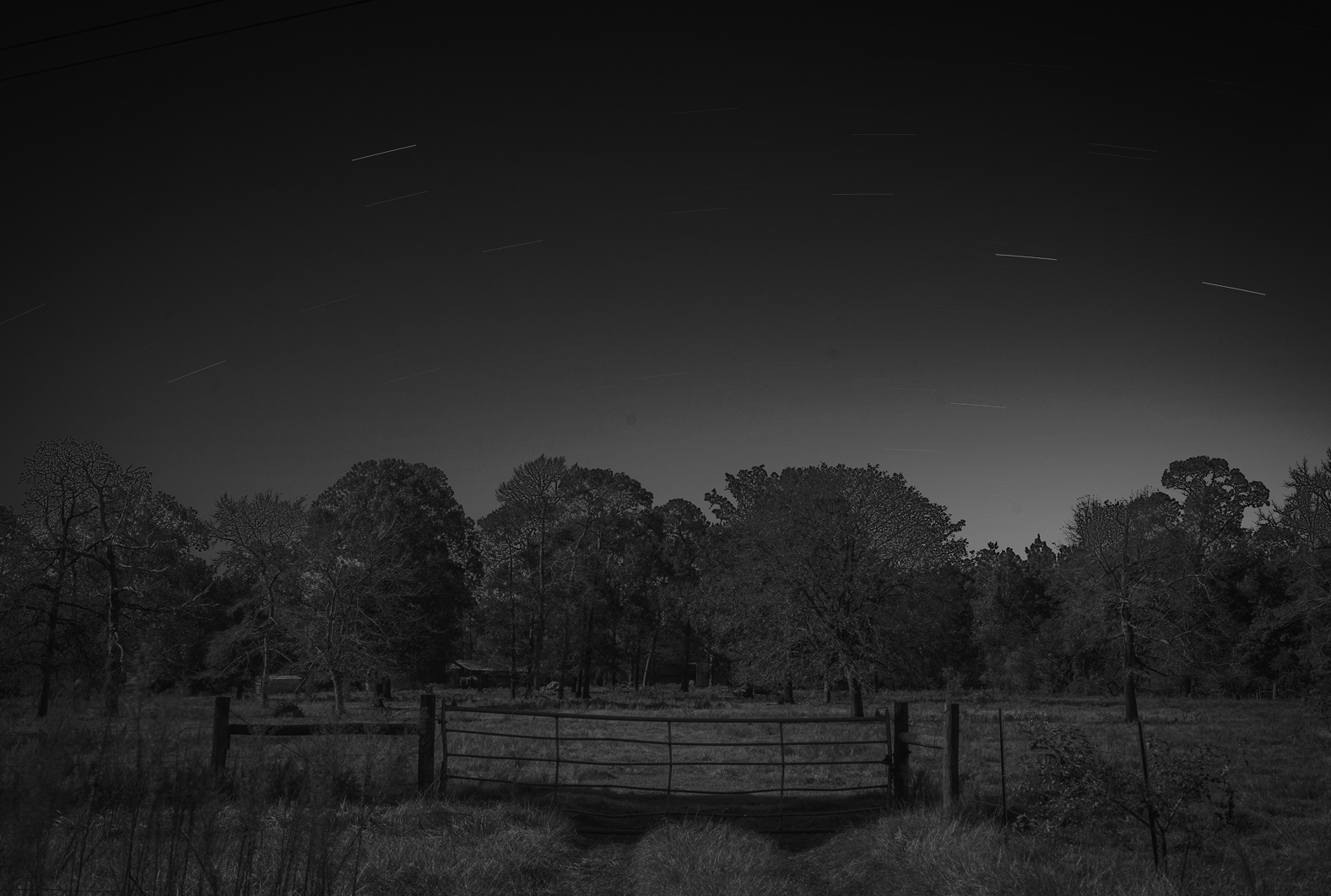 Night Vision - Dark
