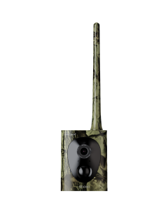 Camera (Camouflage)