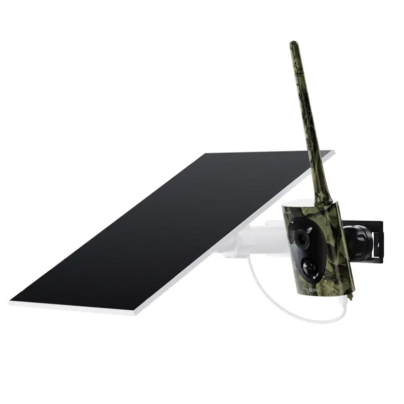 Camera (Camouflage)