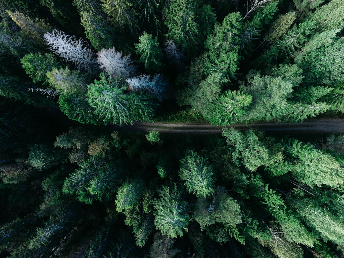 How Wi-Fi HaLow Beats Standard Wi-Fi for Outdoor Cameras